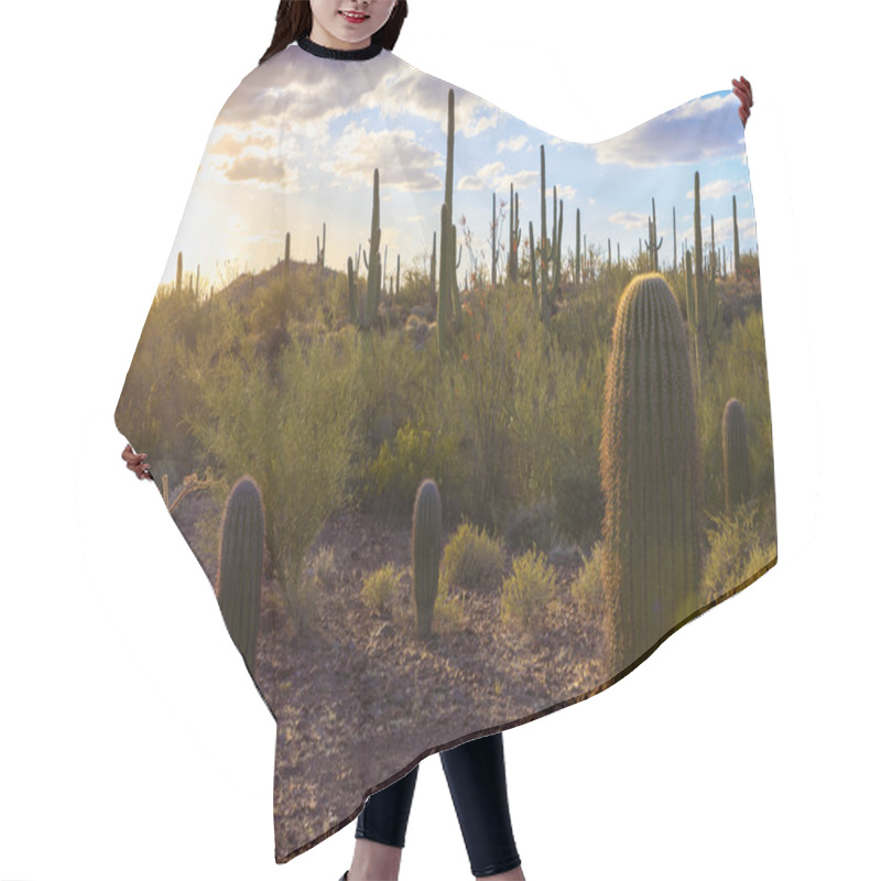 Personality  Saguaro National Park Hair Cutting Cape