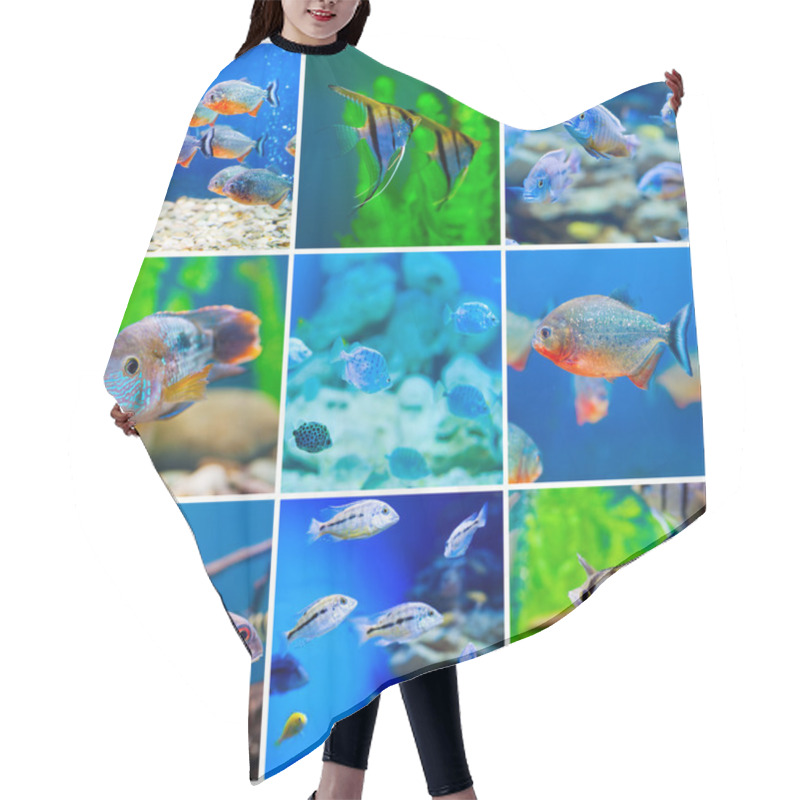 Personality  Blue Saltwater World In Aquarium Hair Cutting Cape