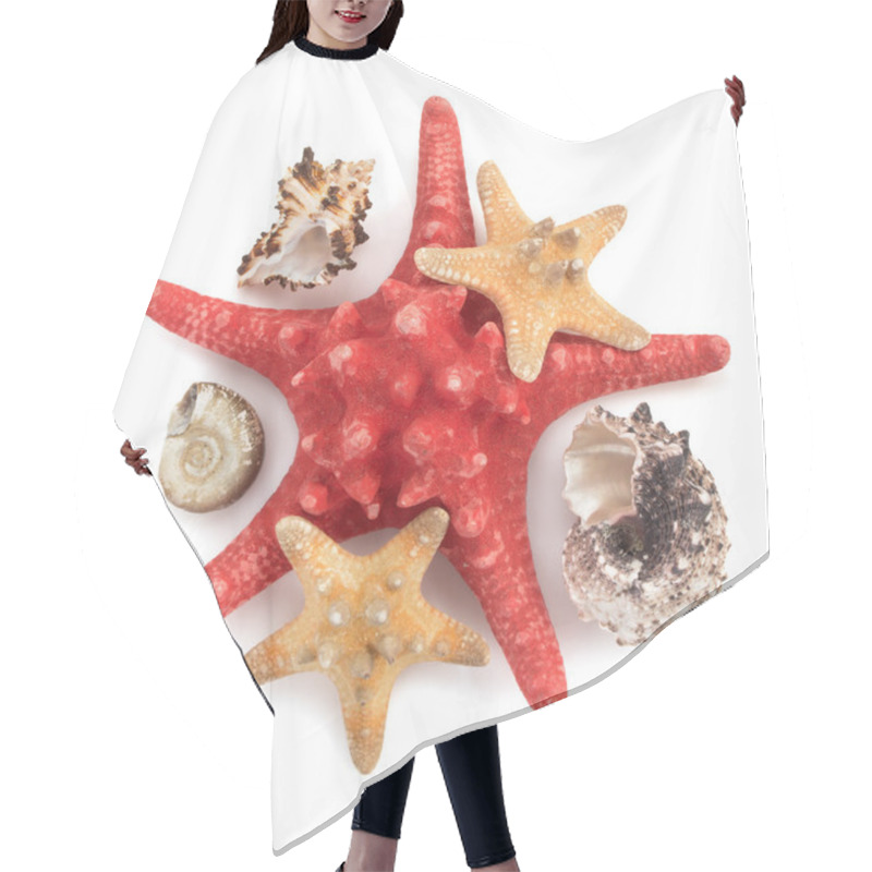 Personality  Seashells  On White Background Hair Cutting Cape