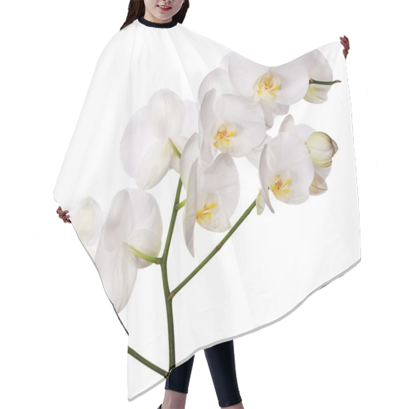 Personality  White Isolated Orchid Flower Branch Hair Cutting Cape