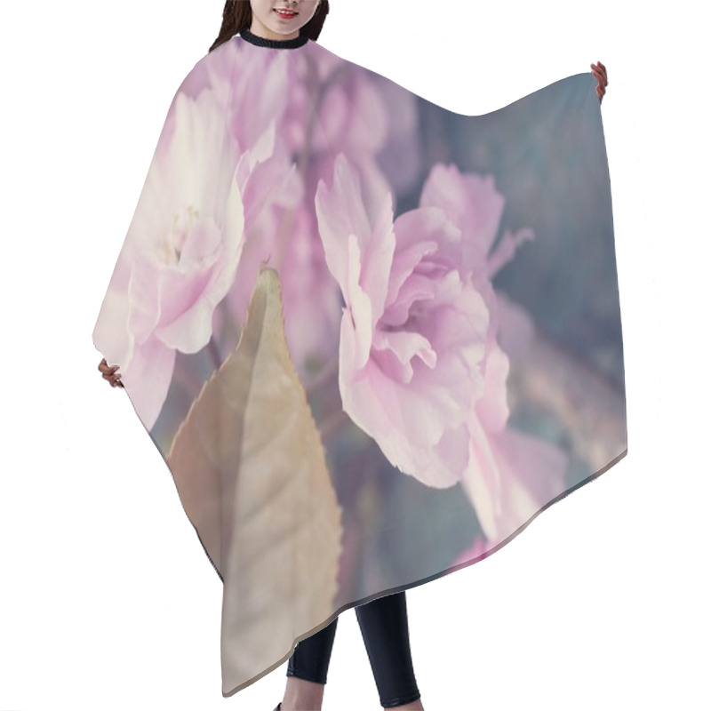 Personality  Beautiful, Spring, Rustic Background With Pink, Japanese Tree Blossom Hair Cutting Cape