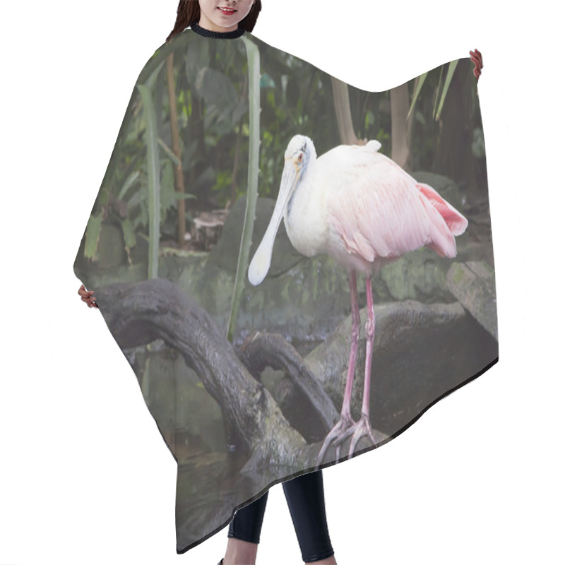 Personality  Roseate Spoonbill (Platalea Ajaja) Hair Cutting Cape