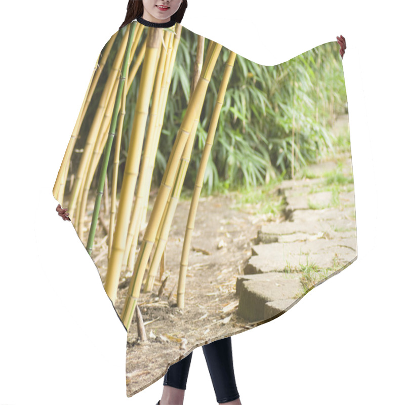 Personality  Green Bamboo Forest Hair Cutting Cape