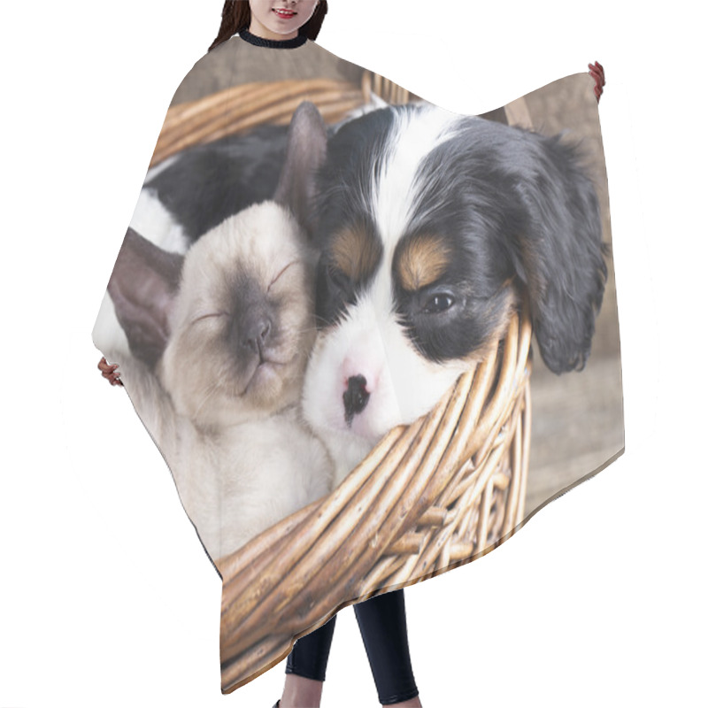 Personality  Puppy And Kitten Hair Cutting Cape