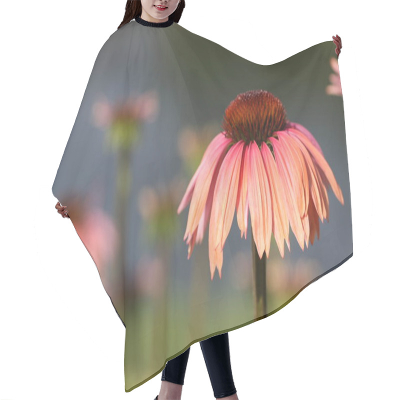 Personality  Echinacea Hybrid Sundown Orange Sun Hat Hair Cutting Cape