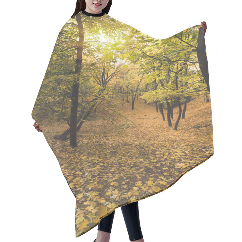 Personality  Beautiful Autumn Forest Hair Cutting Cape