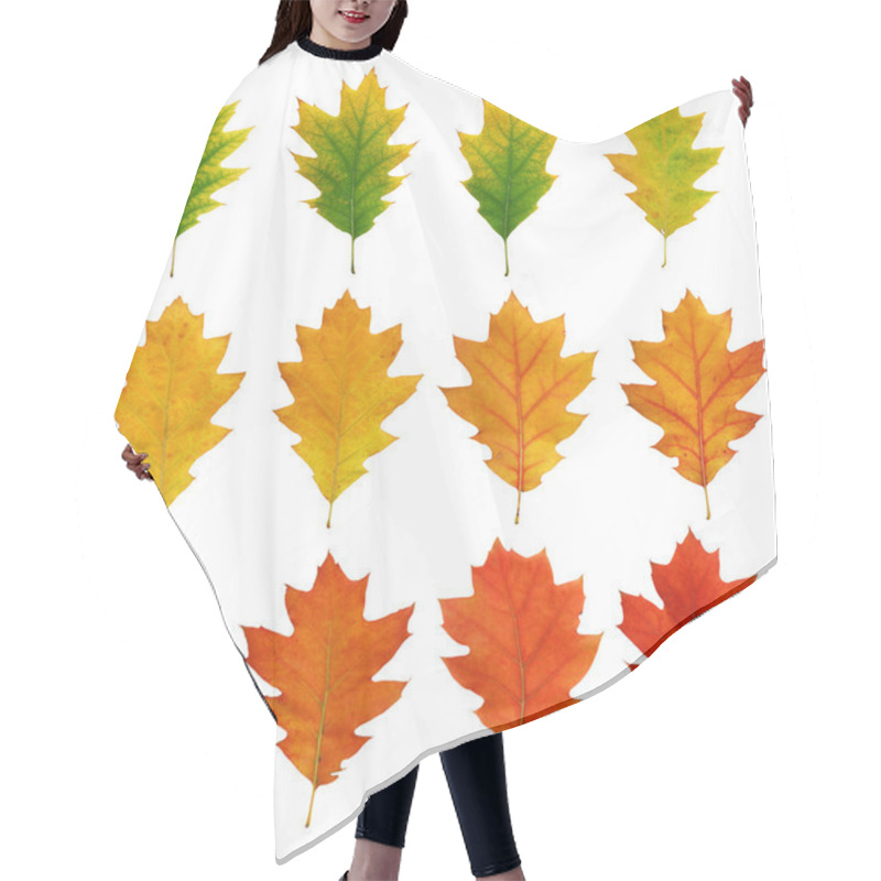 Personality  Oak Fall Leaves Hair Cutting Cape