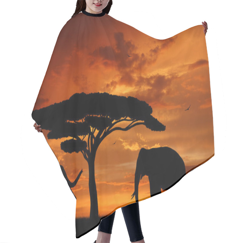 Personality  Elephants In The Sunset Hair Cutting Cape