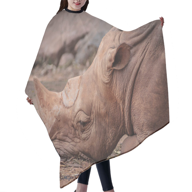 Personality  The Beauty Rhino Hair Cutting Cape