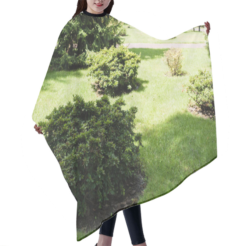 Personality  Shadows On Green Bushes With Leaves On Grass In Park  Hair Cutting Cape