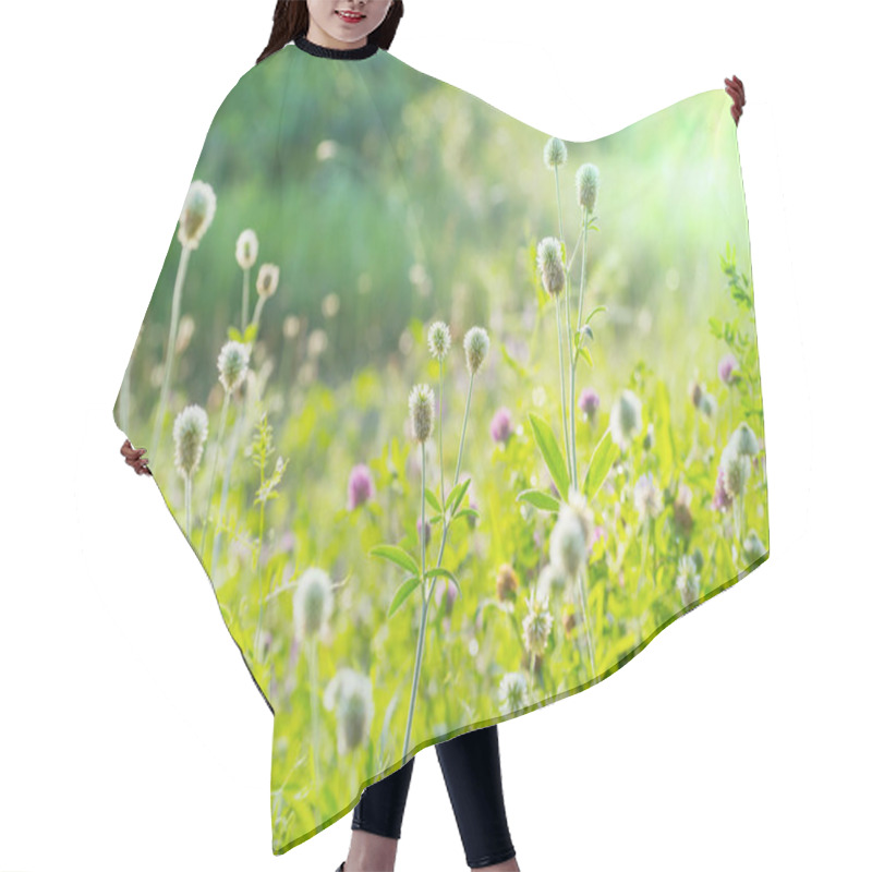 Personality  Sunny Day On The Flowers Meadow. Beautiful Natural Background. Hair Cutting Cape