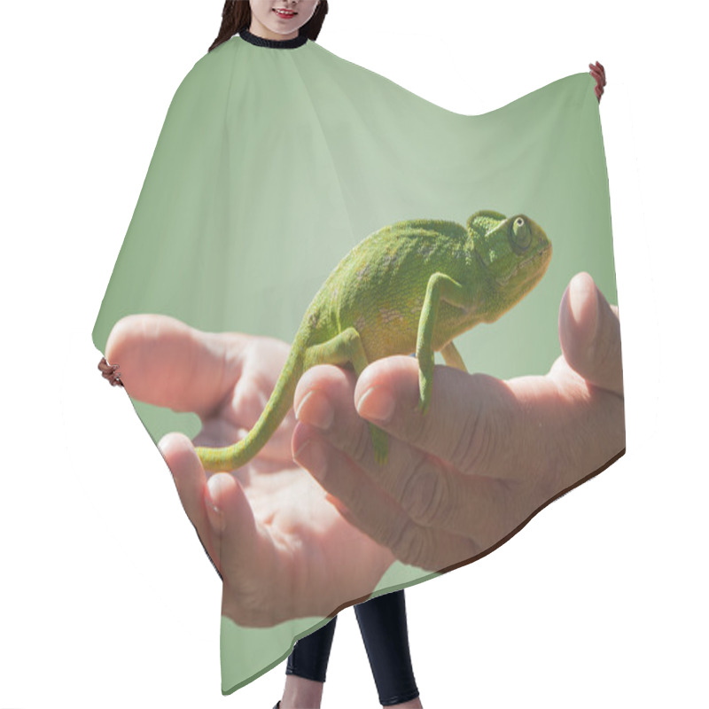 Personality  Chameleon In Some Hands Hair Cutting Cape