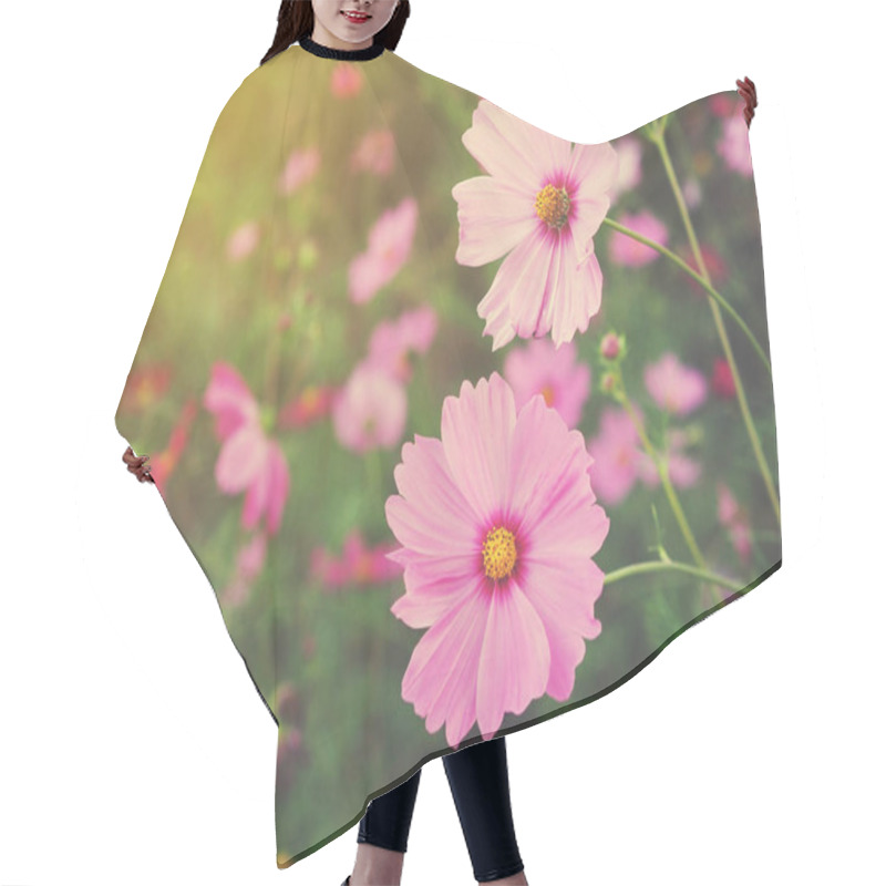 Personality  Close Up Pink Cosmos Blooming In The Garden Hair Cutting Cape