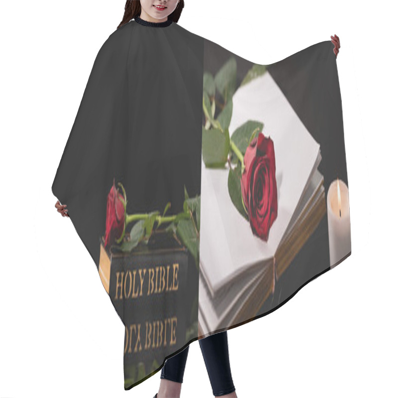 Personality  Collage Of Red Rose On Holy Bible On Black Background, Funeral Concept, Banner Hair Cutting Cape