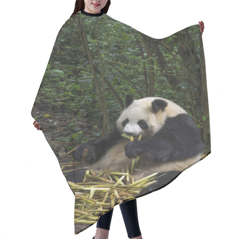 Personality  Big Panda Sitting Hair Cutting Cape