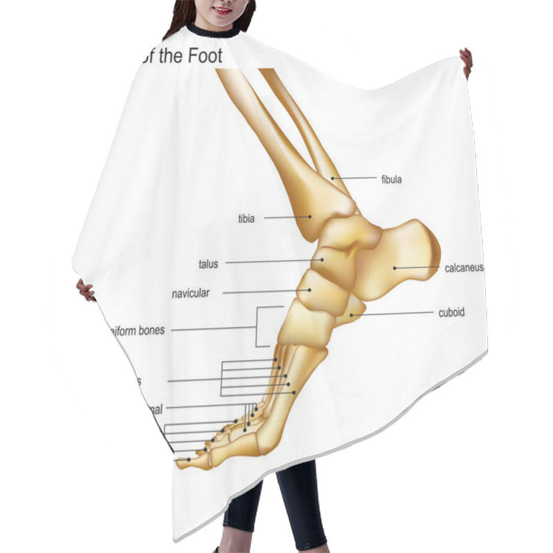 Personality  Bones The Of Foot Hair Cutting Cape