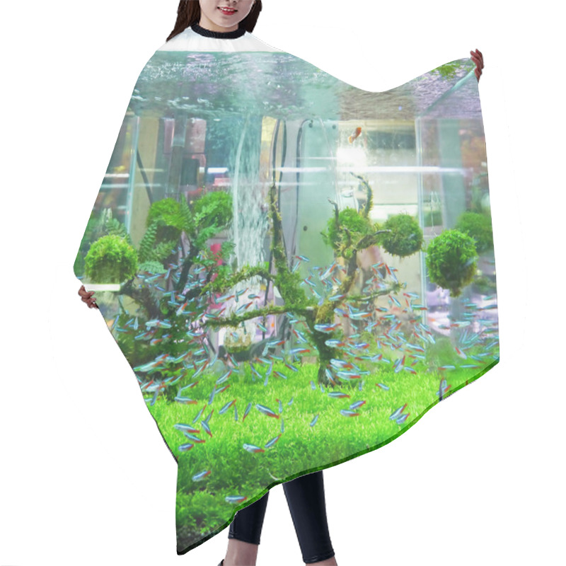 Personality  Fish Tank. Hair Cutting Cape