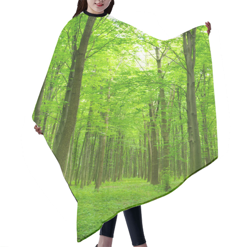 Personality  Trees In A Green Forest In Spring Hair Cutting Cape