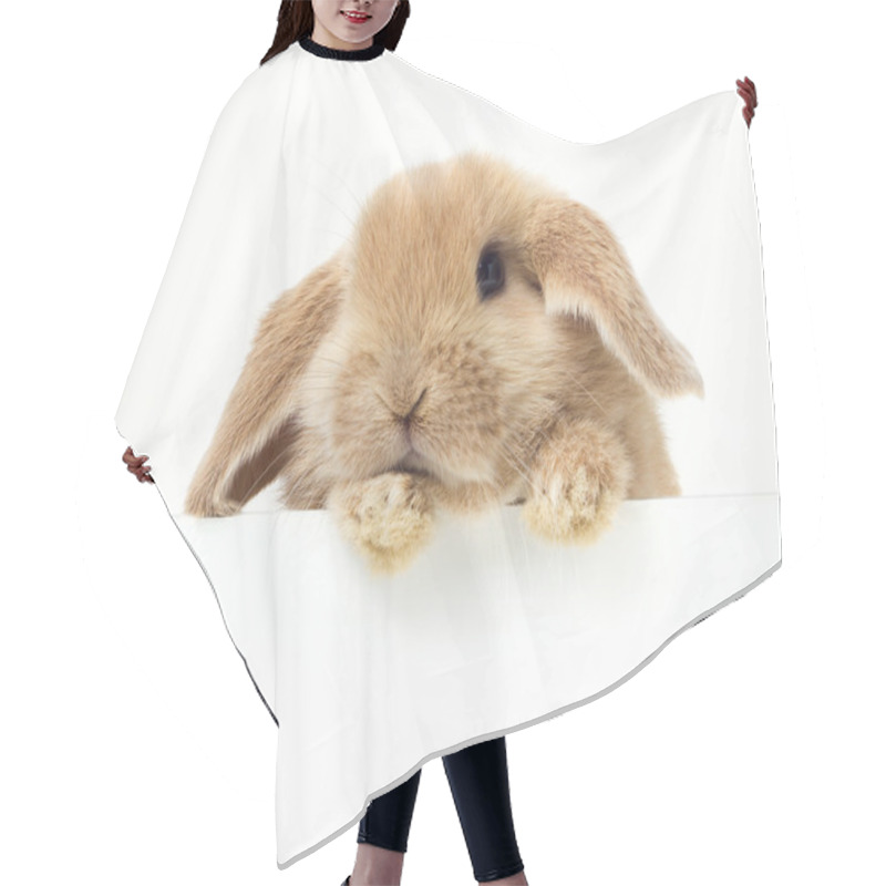 Personality  Rabbit Hair Cutting Cape