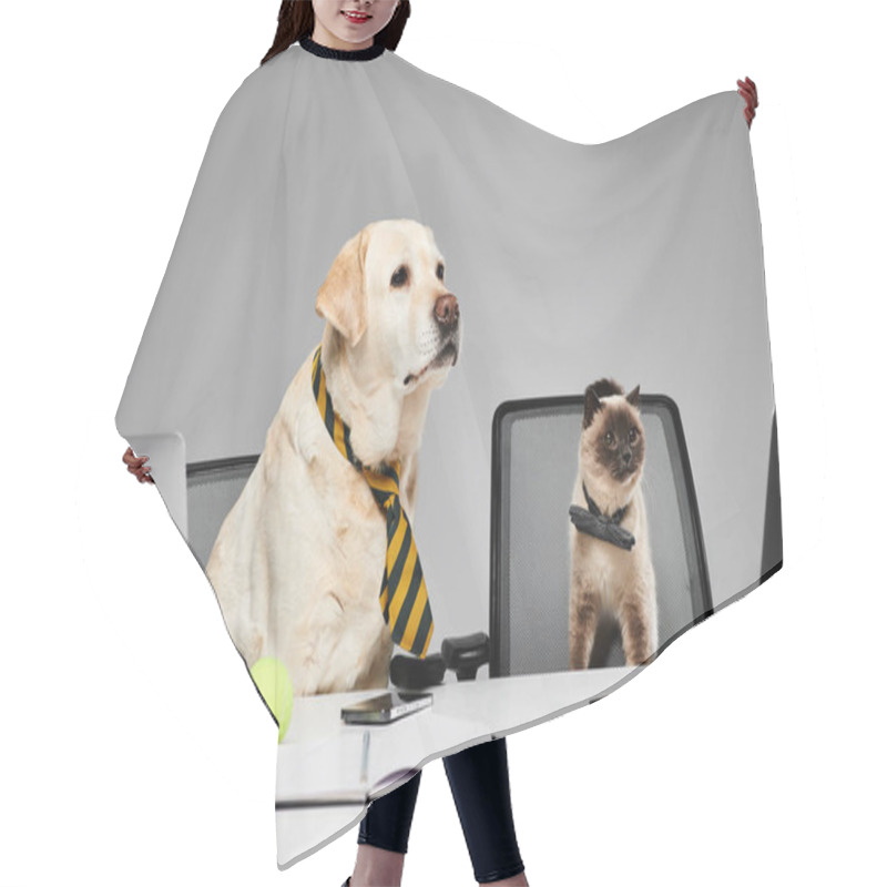 Personality  A Dog And A Cat Sit At A Desk In A Studio Setting, Appearing To Work Together On A Project. Hair Cutting Cape