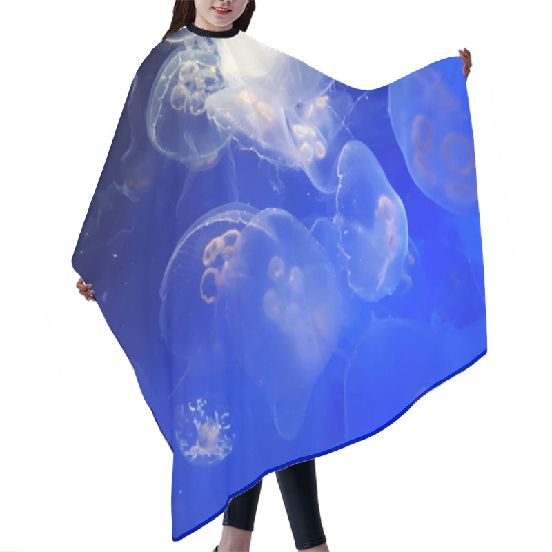 Personality  Many Transparent Jellyfish In The Aquarium Hair Cutting Cape