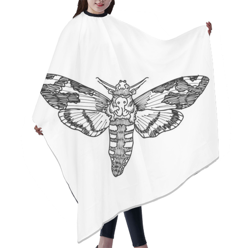 Personality  Death's Head Hawk Moth Sketch Hair Cutting Cape