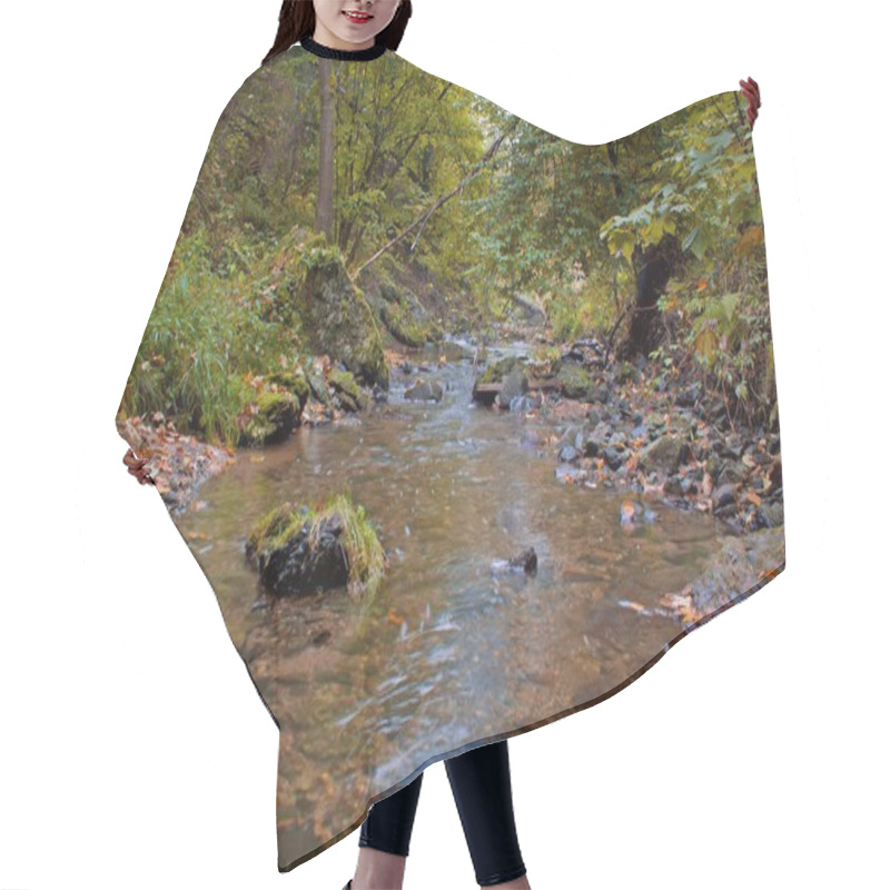 Personality  Autumn Stream In The Forest In Sunny Day Hair Cutting Cape