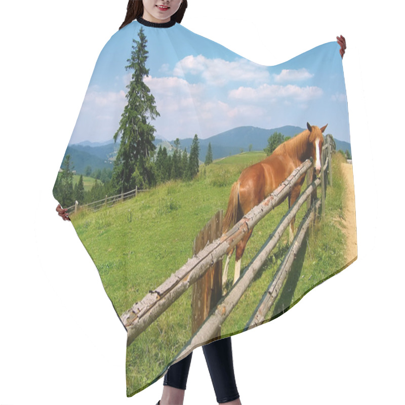 Personality  Horse, Landscape Hair Cutting Cape