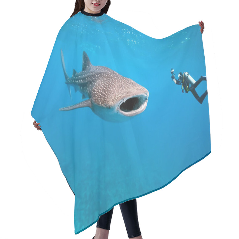 Personality  Whale Shark And Underwater Photographer Hair Cutting Cape