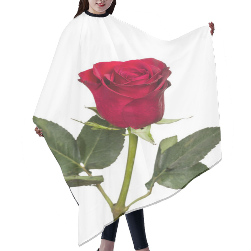 Personality  Single Bright Red Rose Isolated Hair Cutting Cape