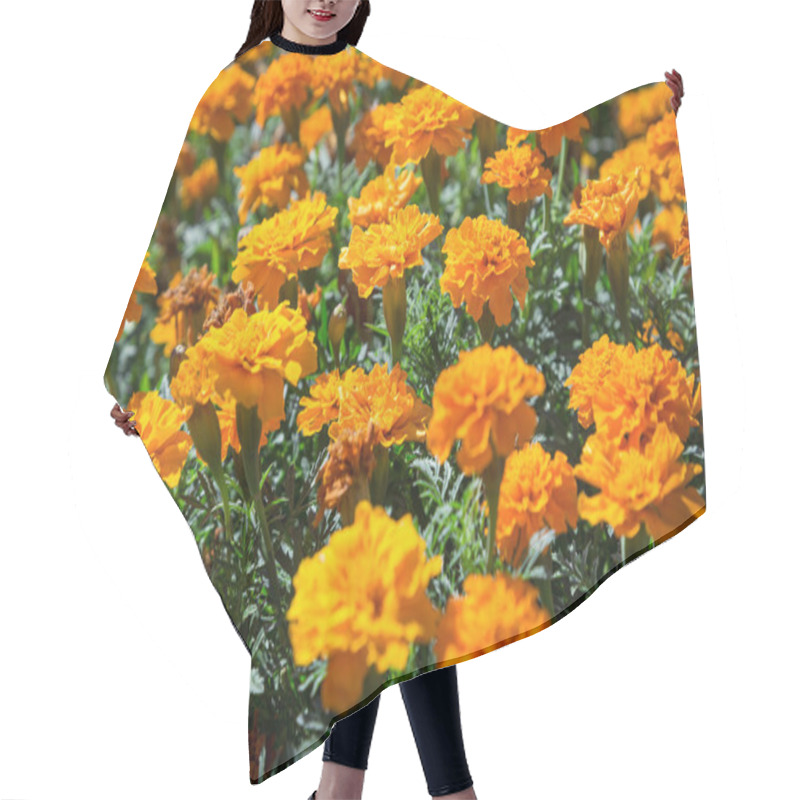 Personality  Orange French Marigolds On The Bed Hair Cutting Cape