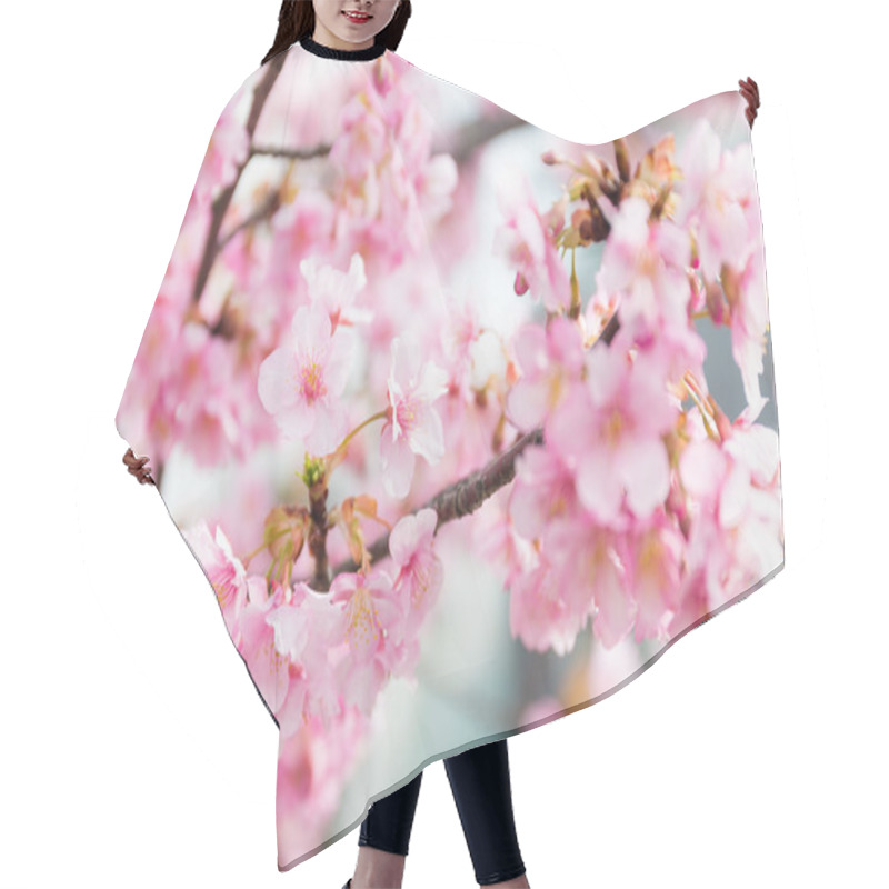 Personality  Blooming Sakura Tree Branches Hair Cutting Cape