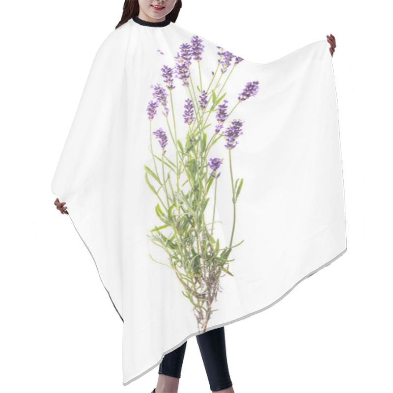 Personality  Lavender Flowers Isolated White Background Hair Cutting Cape