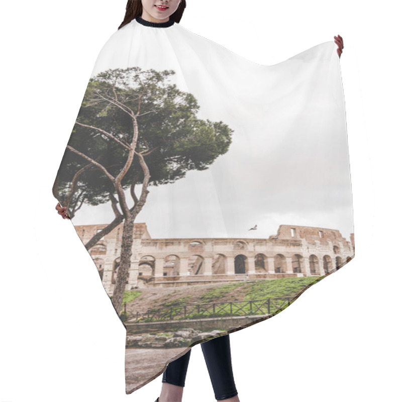 Personality  Green Trees In Front Of Ancient Colosseum Ruins On Cloudy Day, Rome, Italy Hair Cutting Cape