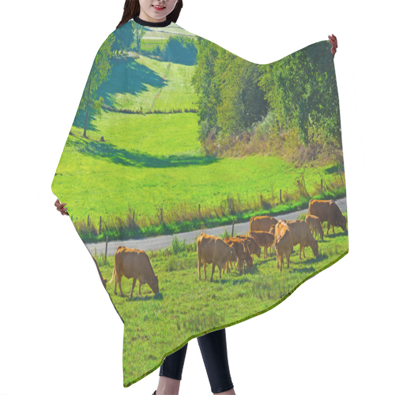 Personality  Cows Hair Cutting Cape