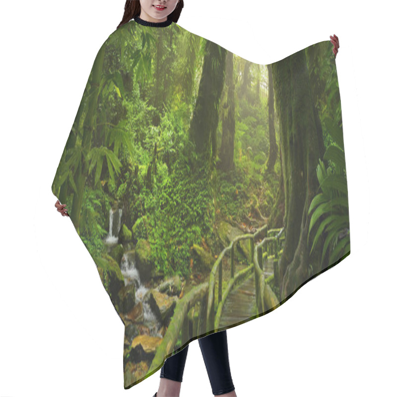 Personality  Tropical Rain Forest In Asia Hair Cutting Cape