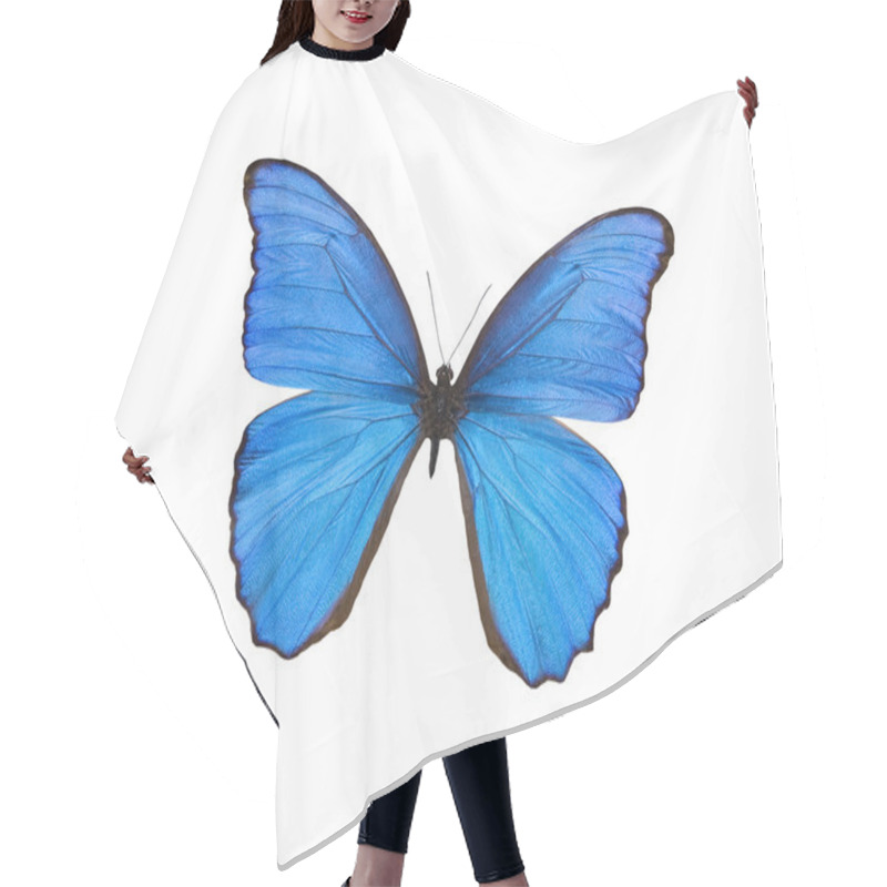 Personality  Blue Butterfly Isolated On White Hair Cutting Cape