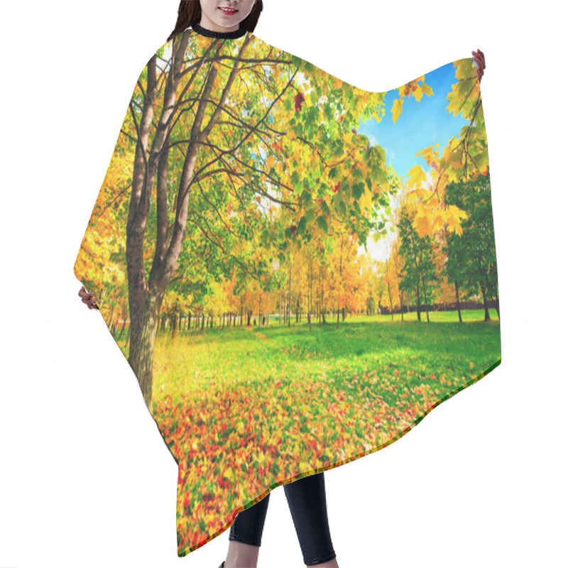 Personality  Autumn Landscape With Maple Trees Hair Cutting Cape