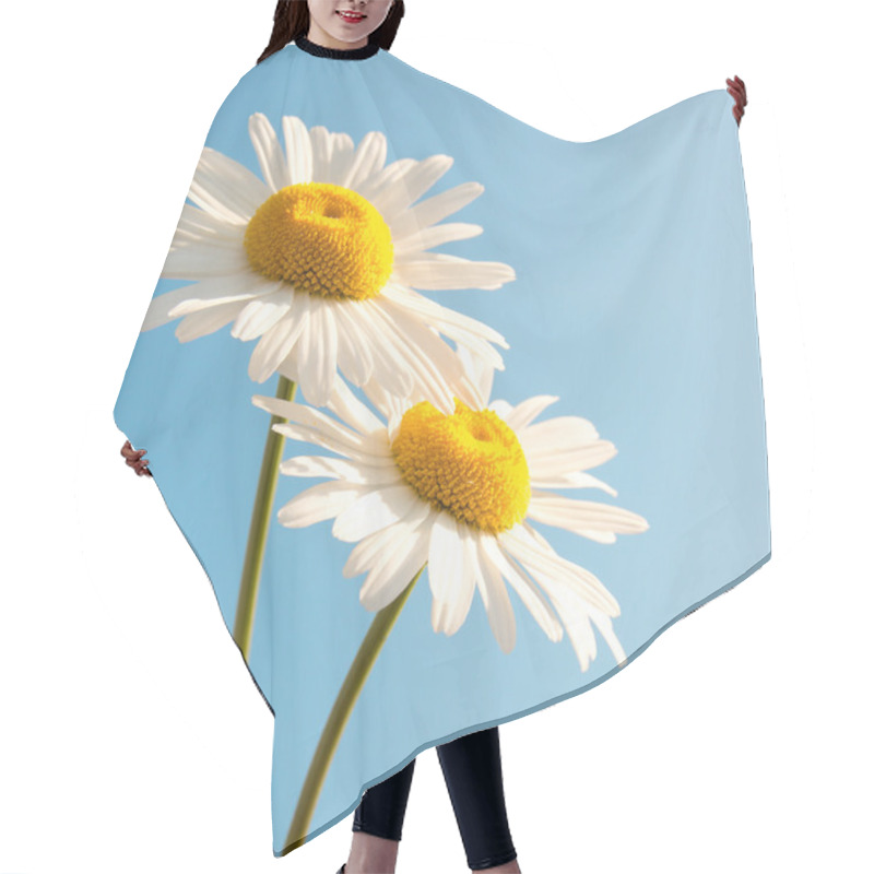 Personality  Daisies Over Blue Sky Hair Cutting Cape