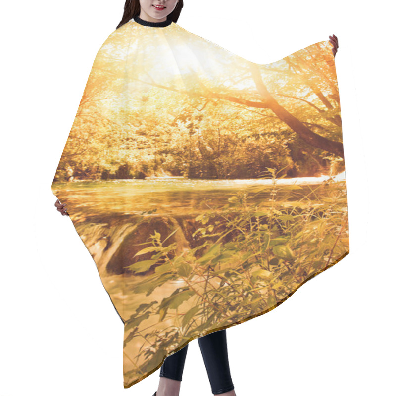 Personality  Sunshine In An Autumn Forest Hair Cutting Cape