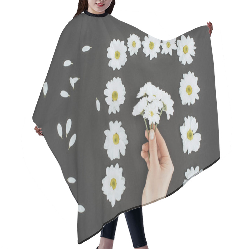 Personality  Top View Of Cropped Female Hand With Frame Of Daisies Over Black Background Hair Cutting Cape