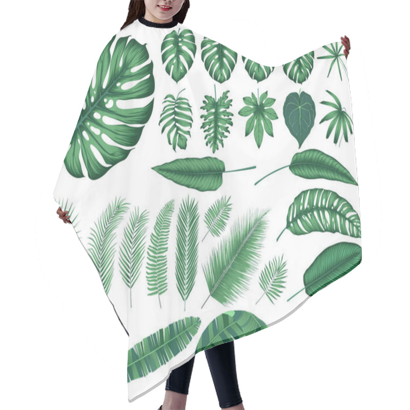 Personality  Detailed Tropical Leaves And Plants, Vector Collection Isolated Elements Hair Cutting Cape