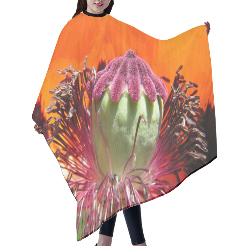 Personality  Close-up View Of Beautiful Wild Poppy Flowers Hair Cutting Cape