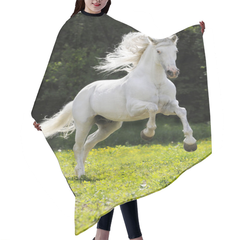 Personality  White Horse Running Gallop Hair Cutting Cape