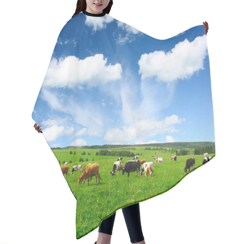 Personality  Cows Hair Cutting Cape