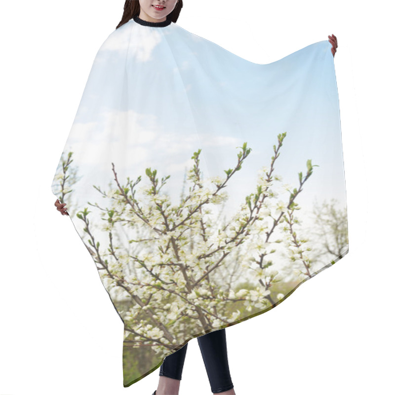 Personality  Spring Landscape Hair Cutting Cape