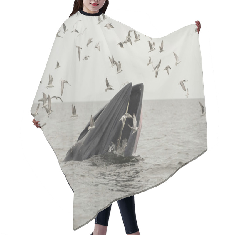 Personality  Whale Hair Cutting Cape