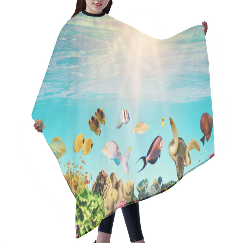 Personality  Underwater Paradise Background - Coral Reef Wildlife Nature Collage With Sea Turtle And Colorful Fish Background Hair Cutting Cape