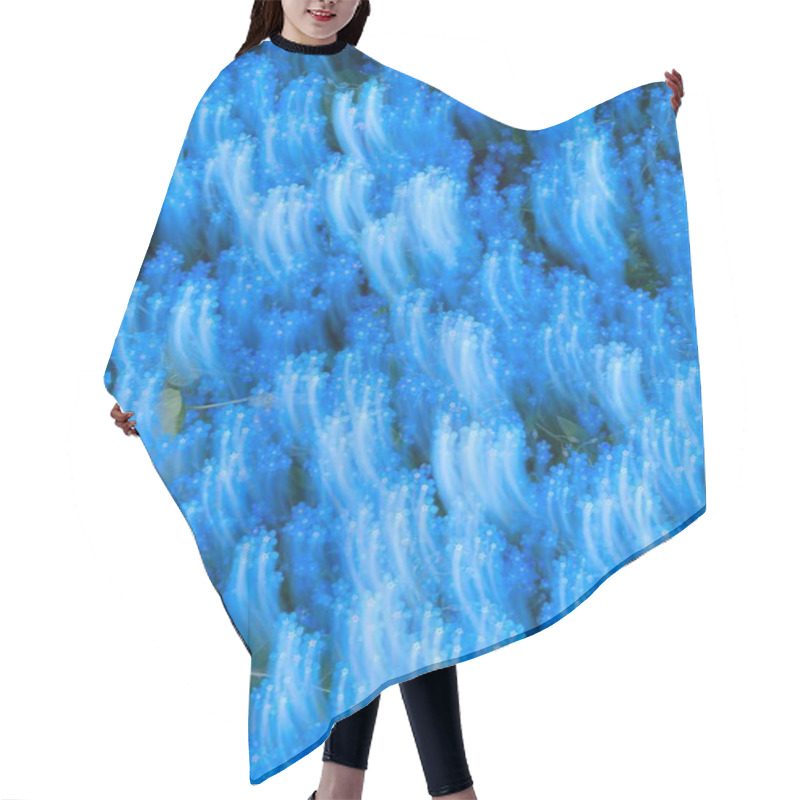 Personality  Abstract Blue Flower Field With Soft Movement Effect. Hair Cutting Cape