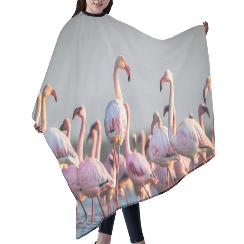 Personality  Scenic View Of Flamingos Wading In Water At Sunset Hair Cutting Cape